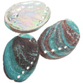 Lot de 3 Coquilles d'Ormeau Naturelles – Coupelle de Fumigation pour Sauge et Palo Santo, Coquillage Nacré Décoratif, Rituel, Décoration Zen