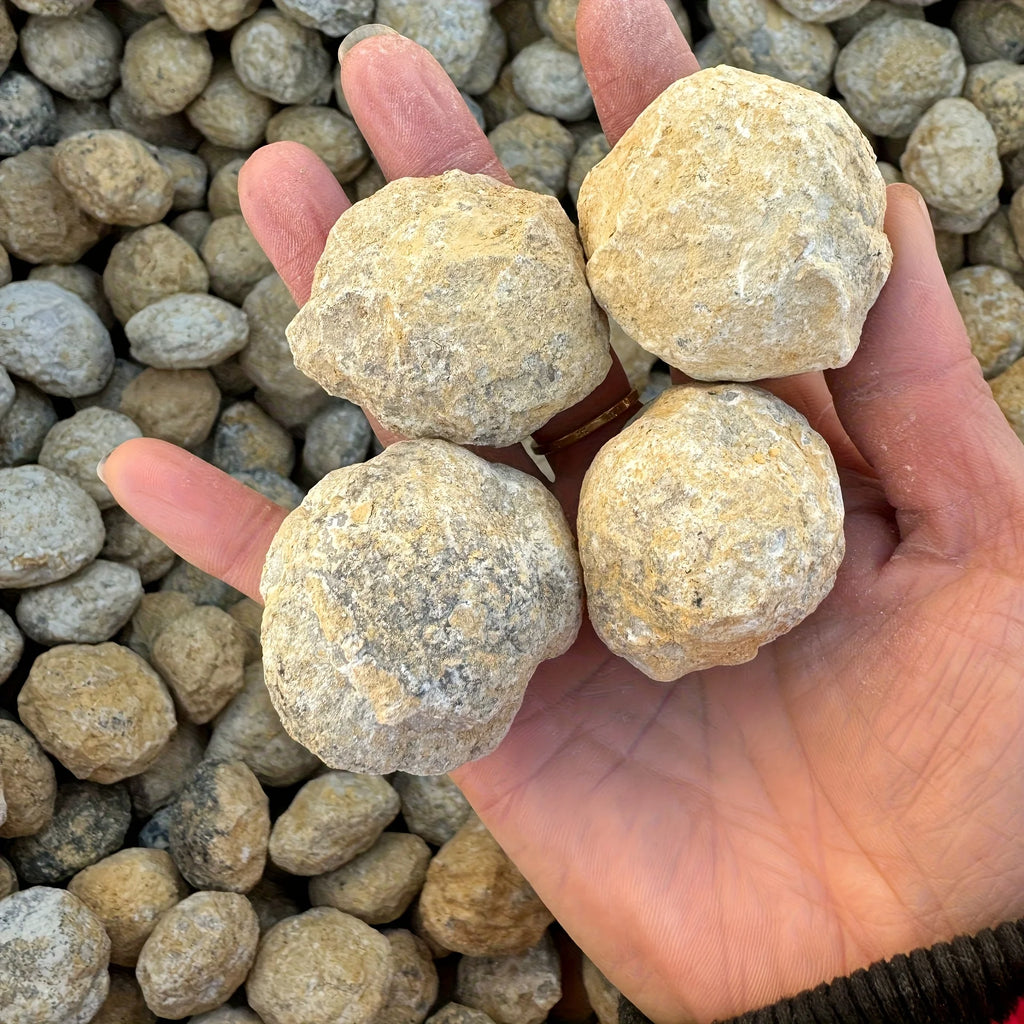 Géode d'Agate à Casser Soi-Même – Cristaux de Quartz à Découvrir, Idée Cadeau Enfant