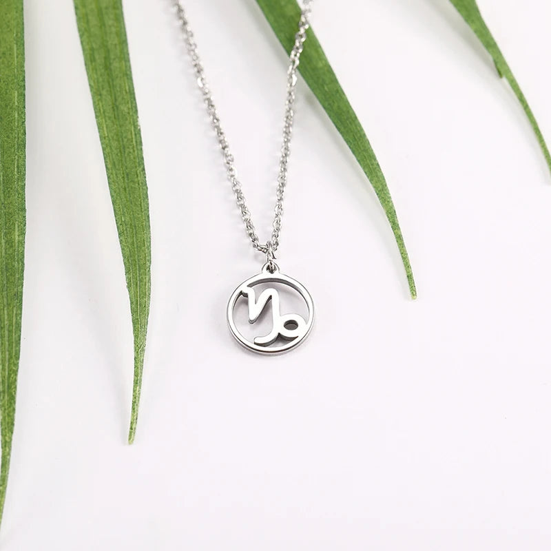 Collier Signe du Zodiaque en Acier Inoxydable Femme et Homme – Pendentif Rond Ajouré, 12 Signes Astrologiques, Argenté, Bijou Astro, Idée Cadeau
