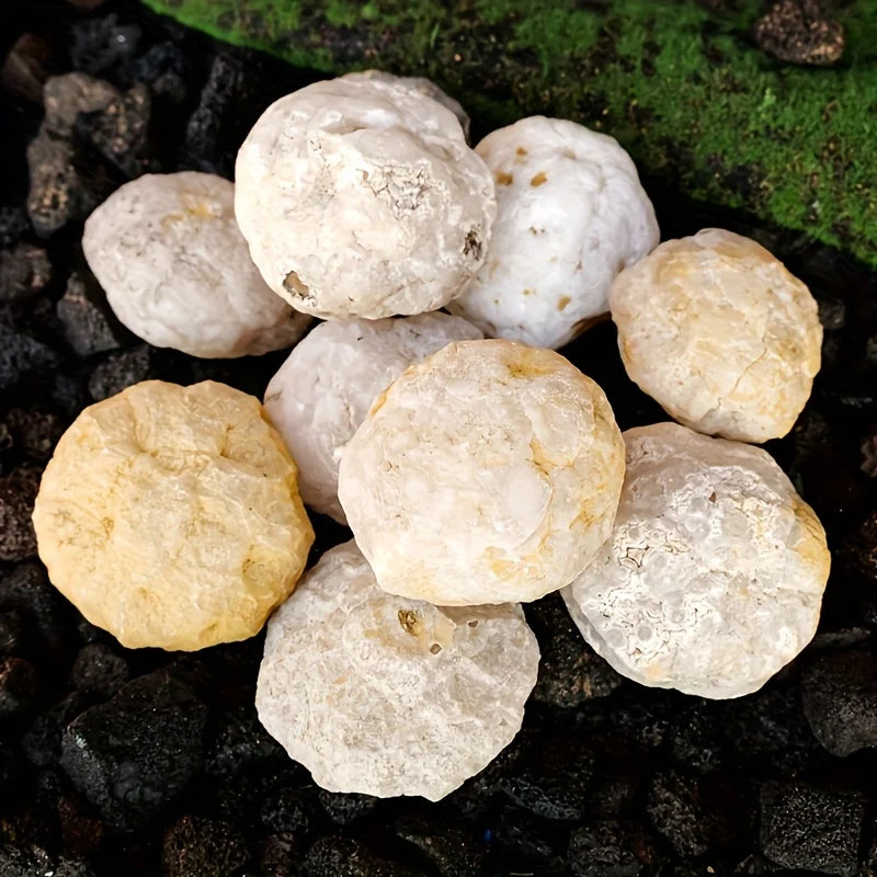 Géode d'Agate à Casser Soi-Même – Cristaux de Quartz à Découvrir, Idée Cadeau Enfant